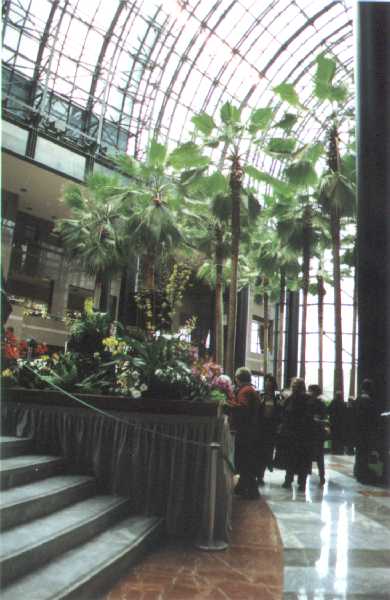The 21-st New York International orchid exhibition. Image 21