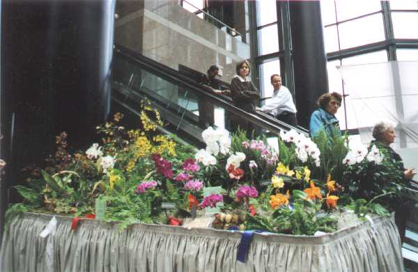 The 21-st New York International orchid exhibition. Image 01