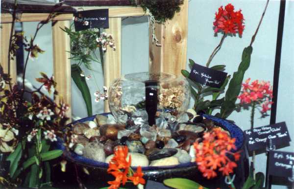 The 21-st New York International orchid exhibition. Image 09